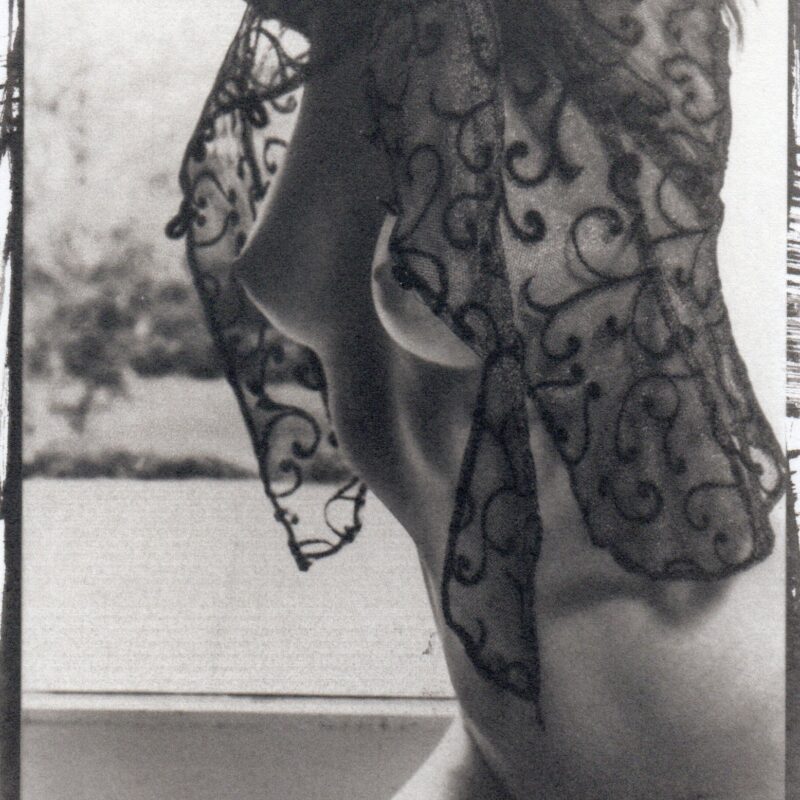 nude art, photography, Palladiotype, Sensual Surrender