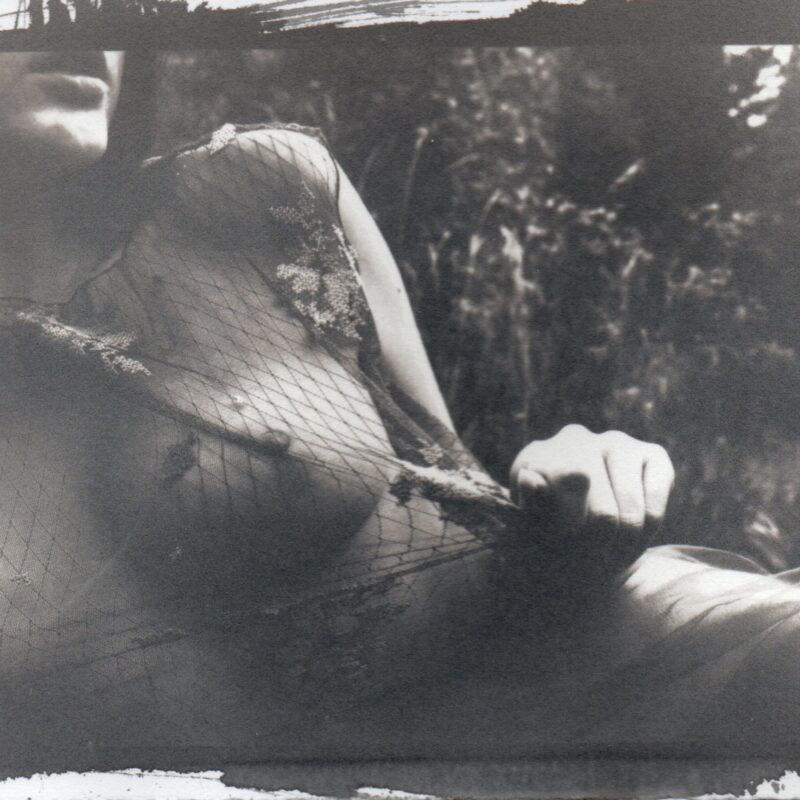 nude art, photography, Palladiotype, Purely Nature